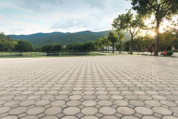 Best Decorative Driveway Pavers  in North Las Vegas, NV
