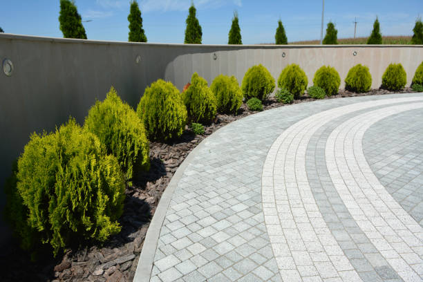 Best Brick Driveway Pavers  in North Las Vegas, NV